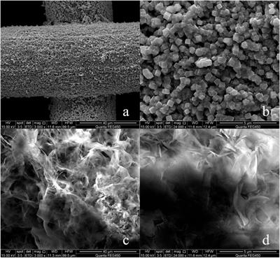 Preparation and Application of Superhydrophobic Copper Mesh by Chemical Etching and In-situ Growth